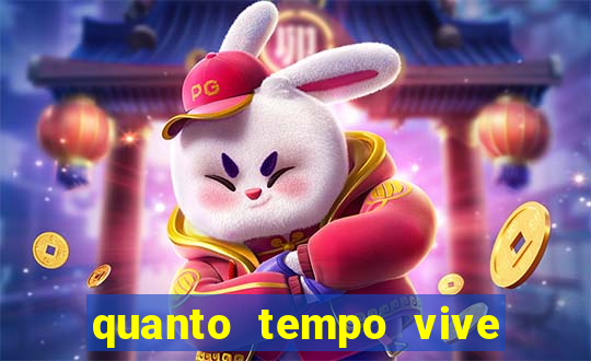 quanto tempo vive um passarinho bem-te-vi